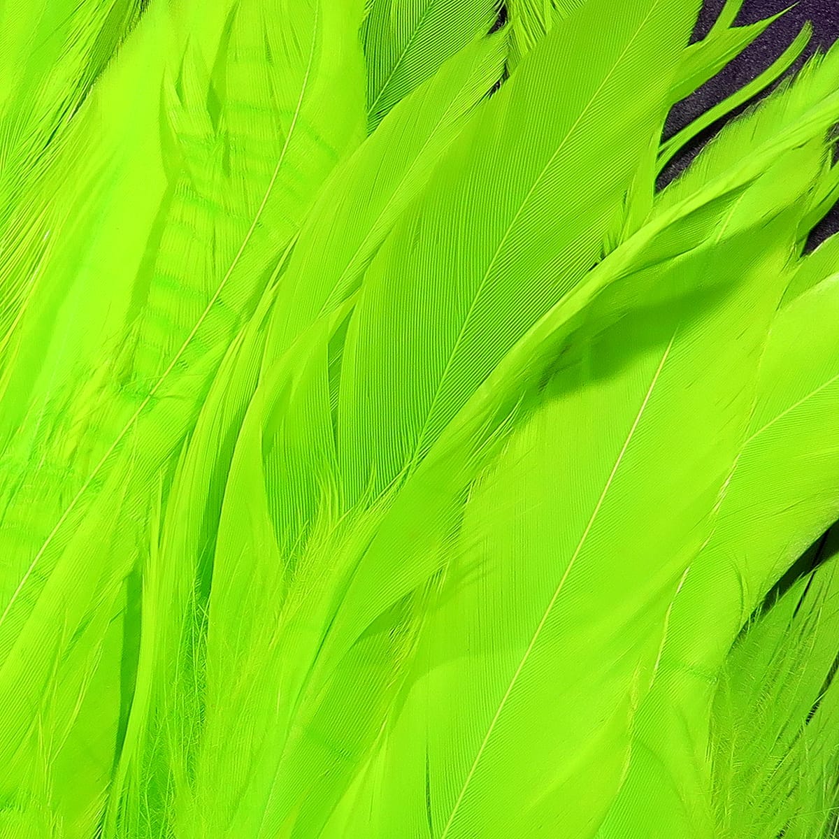 Bright chartreuse Hareline rooster schlappen long soft feathers, glossy barbs and thin quills for fly tying and streamers