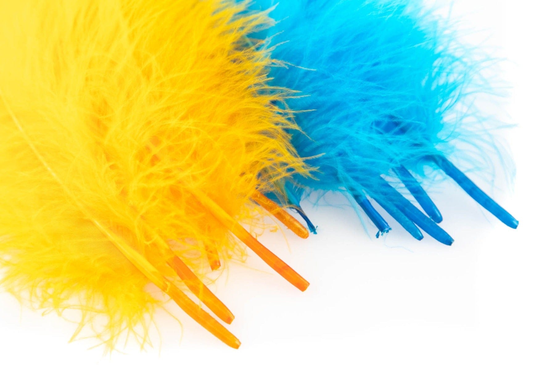 Bright yellow and turquoise goose shoulder feathers with soft fluffy fibers and visible quills for fly tying