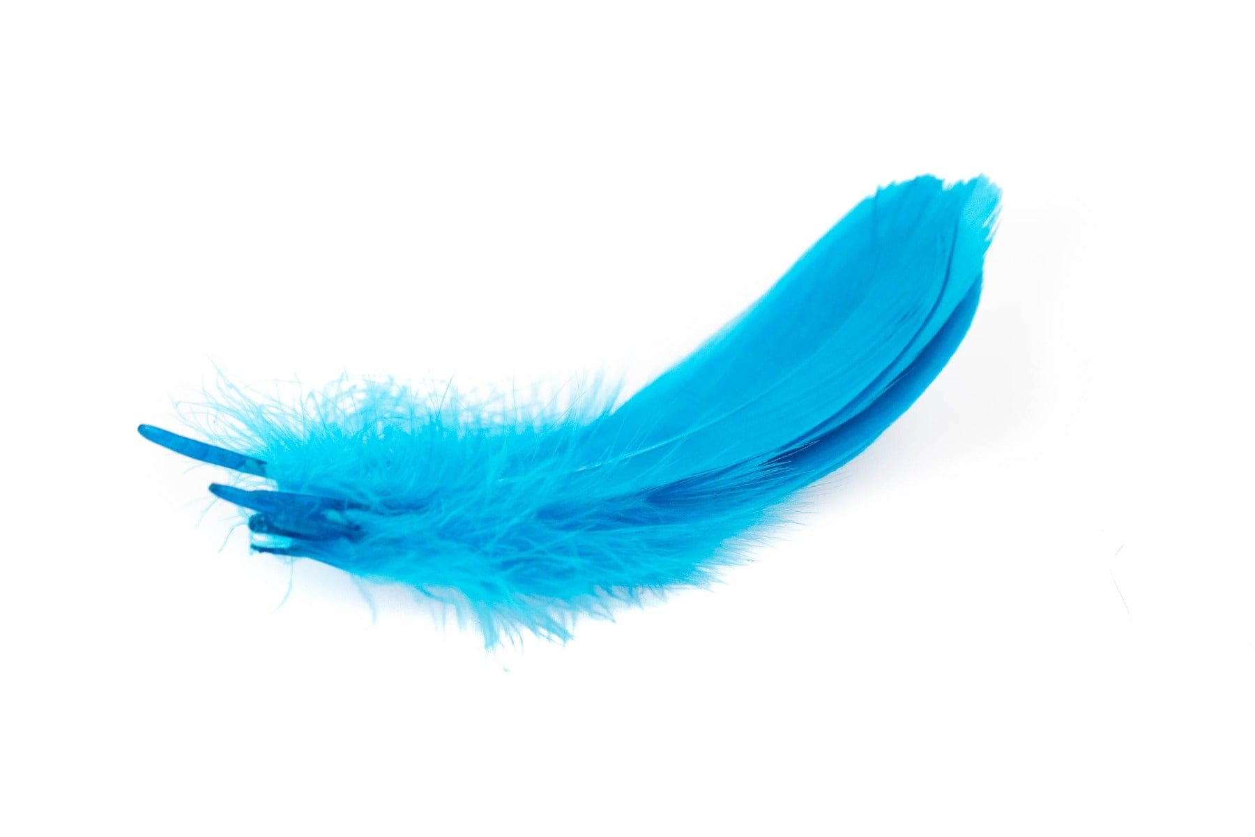 Bright turquoise goose shoulder feathers with long tapered quills and fluffy down base for fly tying