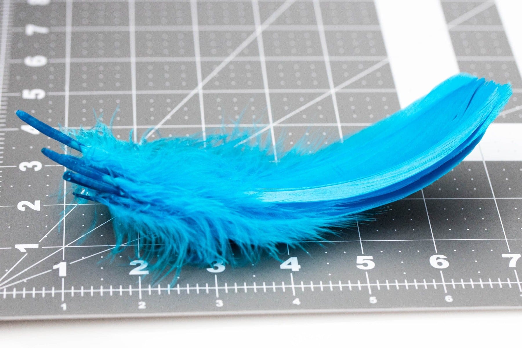 Bright turquoise goose shoulder feathers for fly tying, long smooth quills and fluffy barbs on a gridded cutting mat
