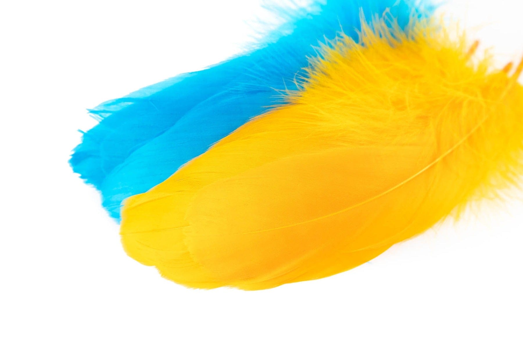 Hareline Select goose shoulder feathers, bright yellow and turquoise blue dyed plumes, soft long feathers for fly tying