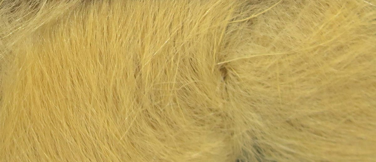 Pale yellow silky bunny strips with fine soft fur fibers for fly tying, Hareline Silky Bunnybou