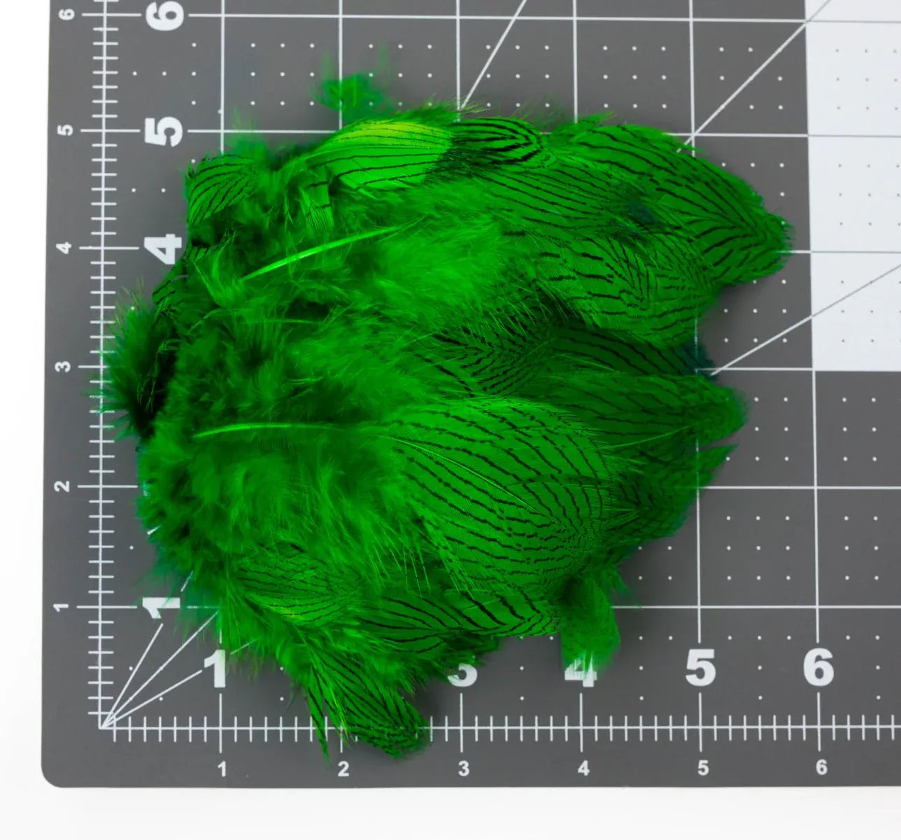 Bright green dyed silver pheasant body feathers with black barring clustered on a grid cutting mat for fly tying
