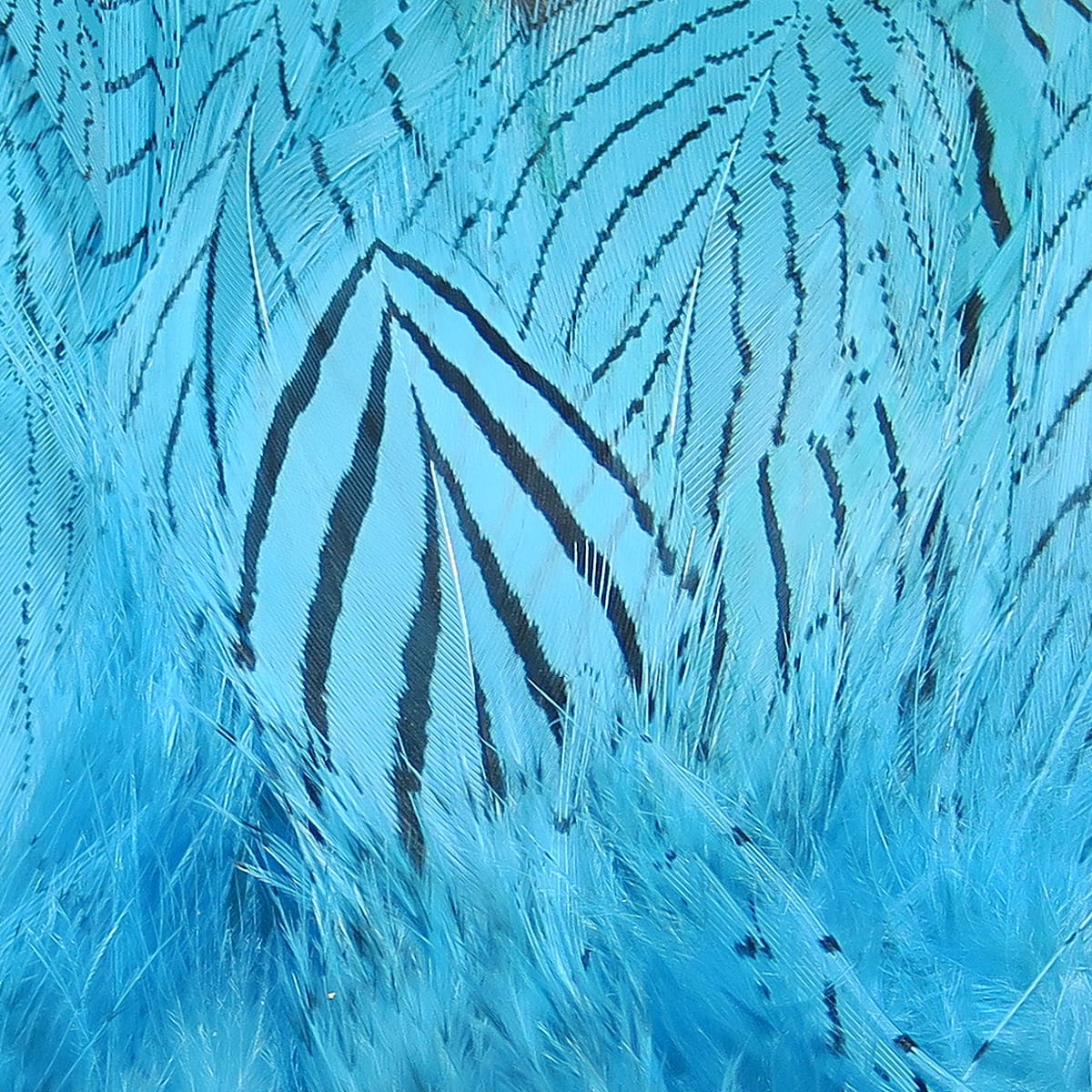 Blue-dyed silver pheasant body feathers with black barred pattern, soft fly-tying material by Hareline