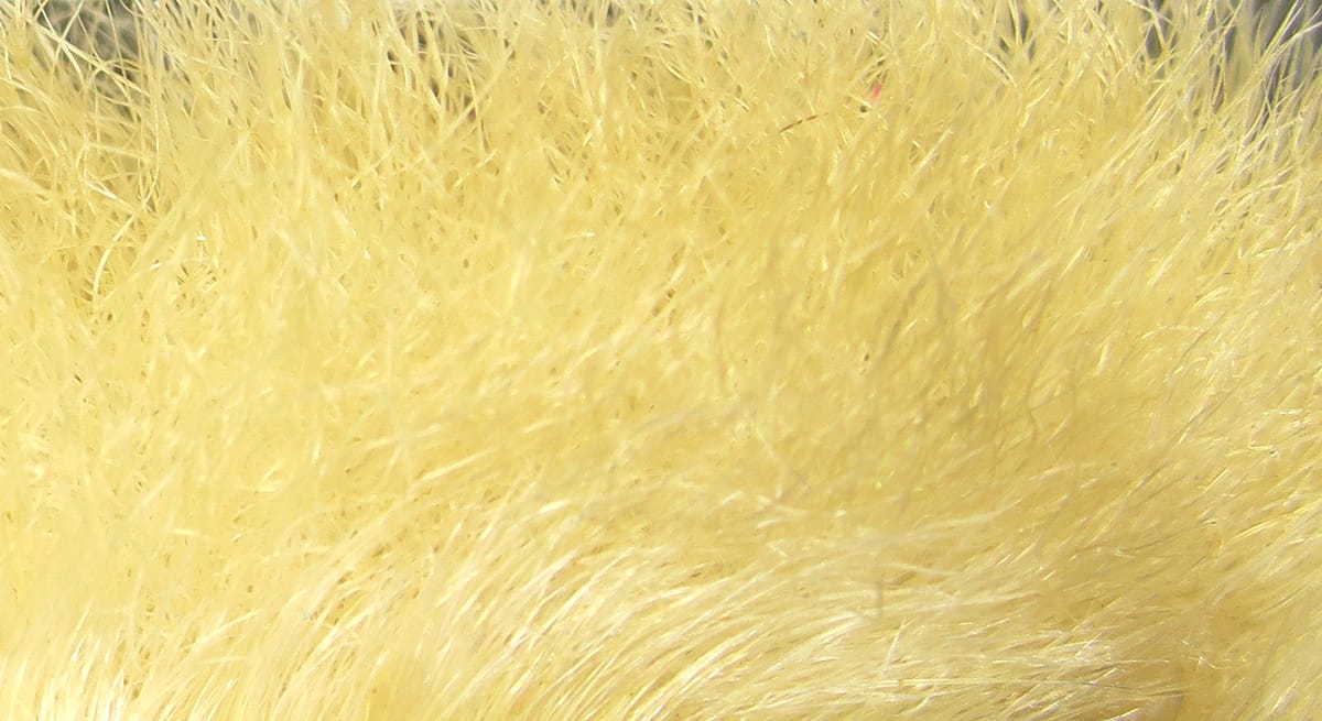 Pale yellow snowshoe rabbit fur, soft dense short guard hairs and underfur for fly tying