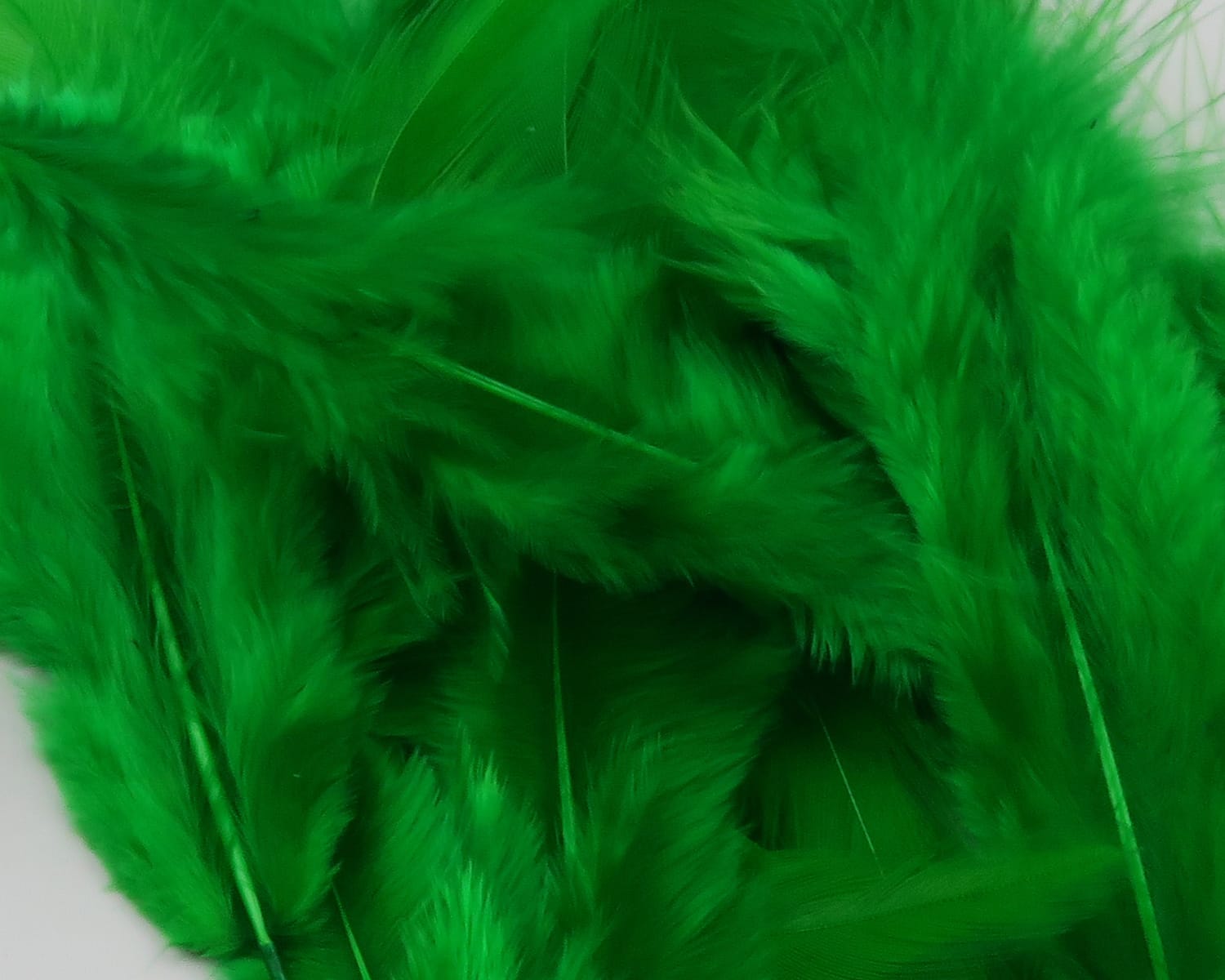 Bright emerald green Hareline soft hackle feathers, fluffy barbs and slender quills for fly tying