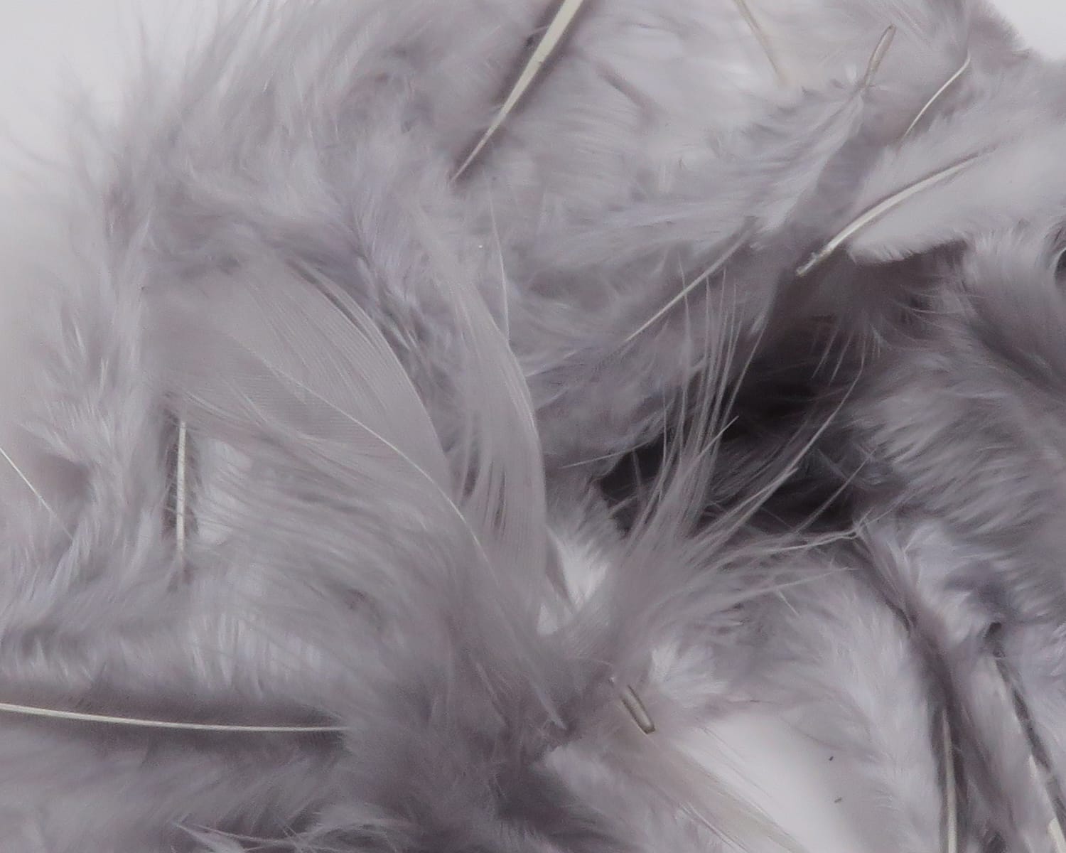 Pale gray Hareline soft hackle feathers—fluffy, silky barbs and delicate quills for fly tying