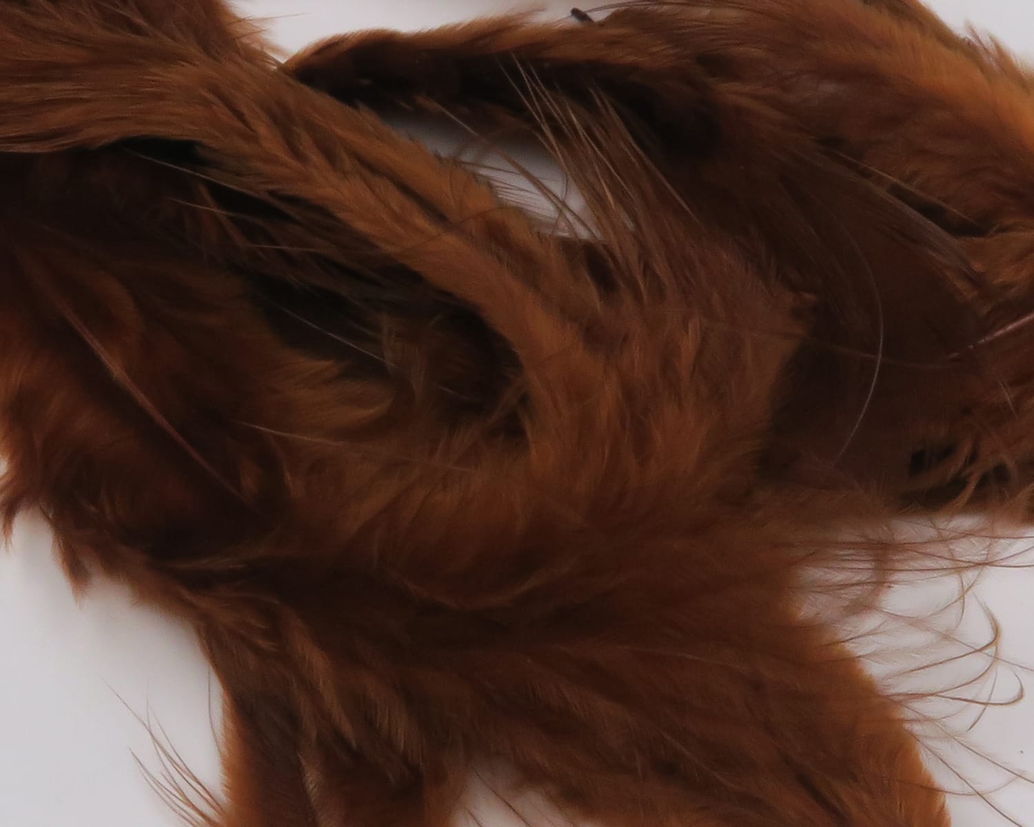 Hareline soft hackle feathers in rich chestnut brown, fluffy long fibers for fly tying