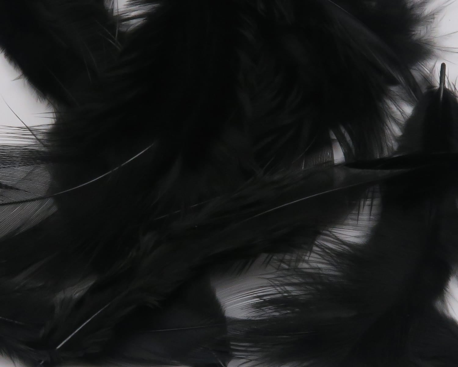Black Hareline soft hackle feathers for fly tying, fluffy marabou-style barbs with thin flexible quills