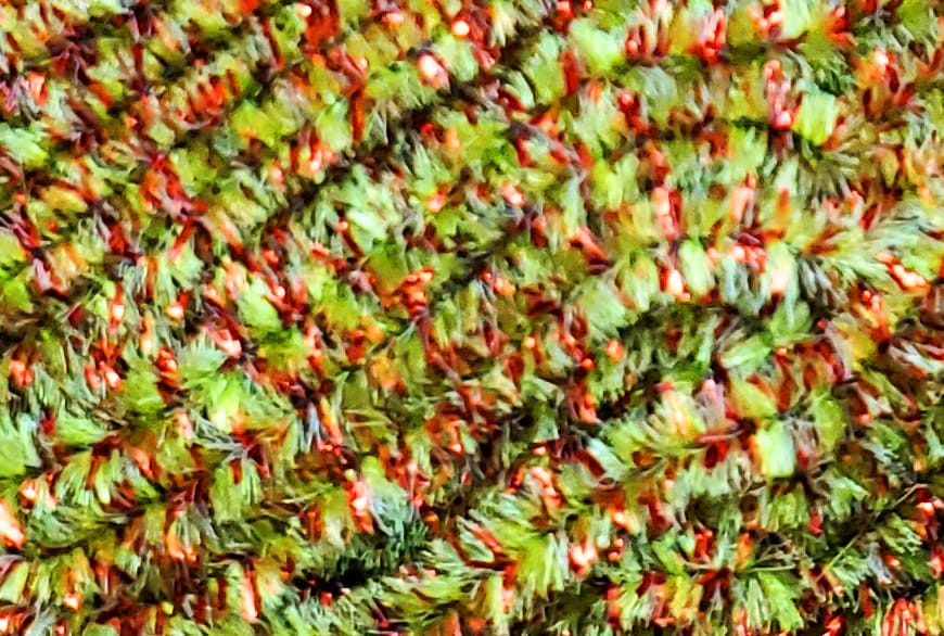 Hareline speckled chenille in green and copper with fuzzy fibers and metallic tinsel for fly tying