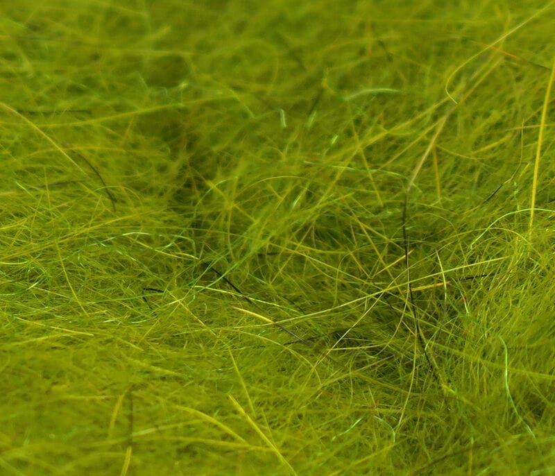 Olive green squirrel dubbing fibers, wispy natural fur with scattered darker guard hairs for fly tying