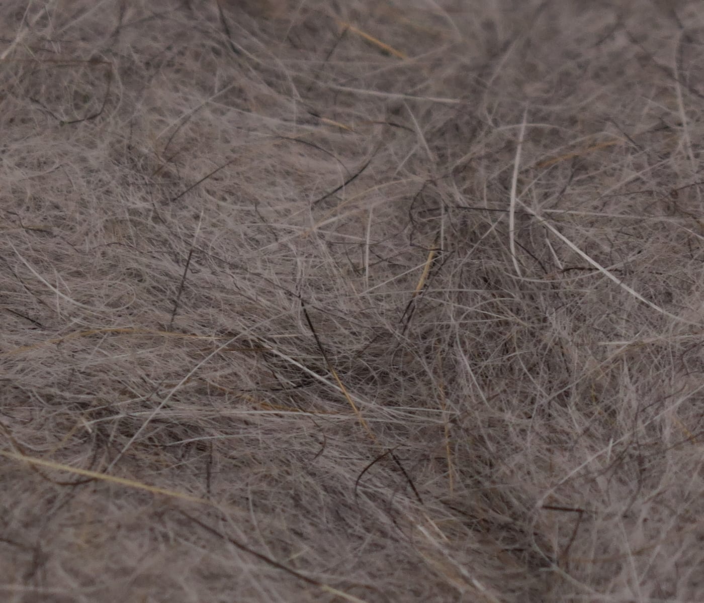 Fine gray-brown squirrel hair dubbing with soft wispy fibers and darker guard hairs for fly tying