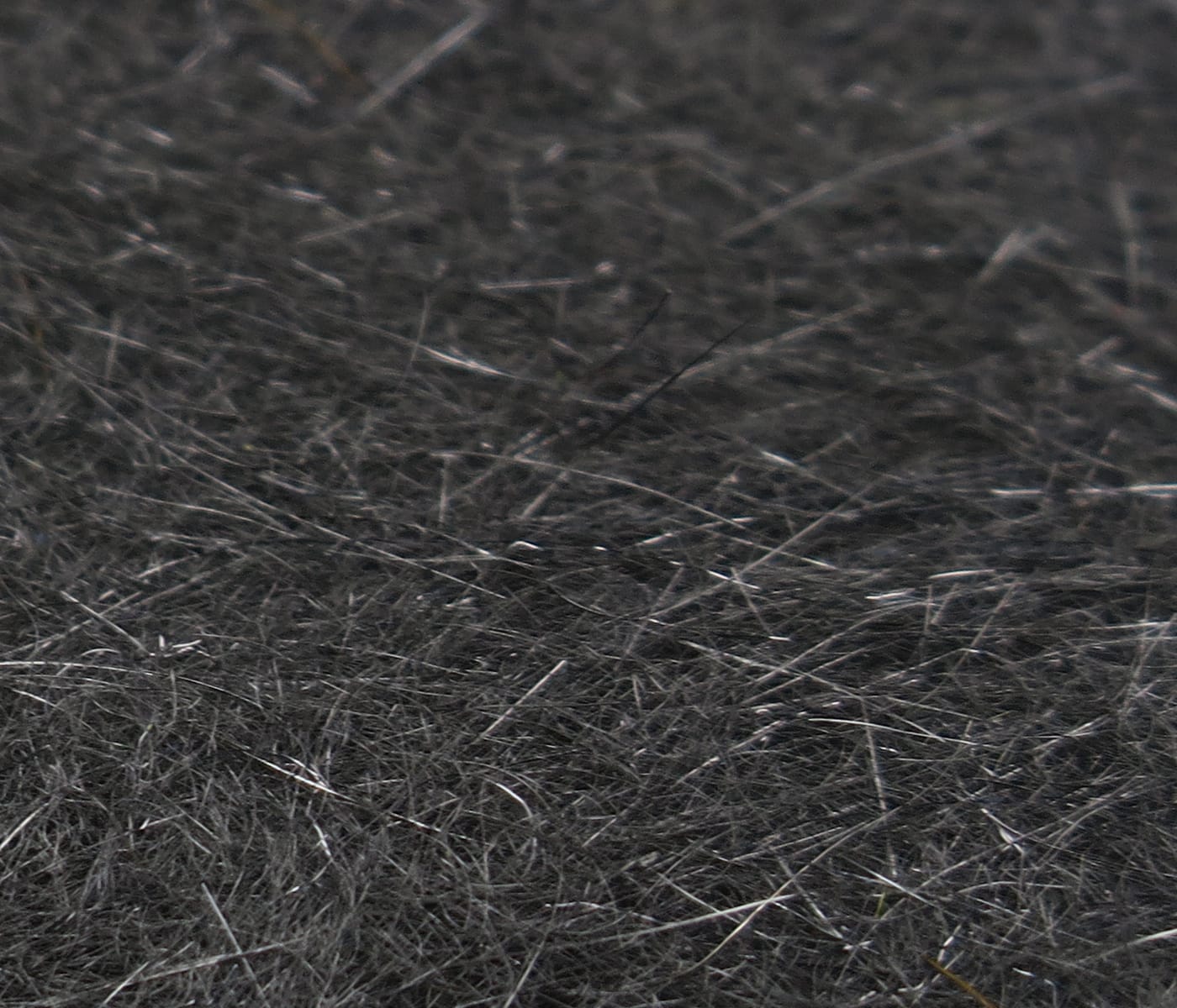 Dark gray squirrel hair dubbing, fine wispy natural fur fibers for fly tying flies