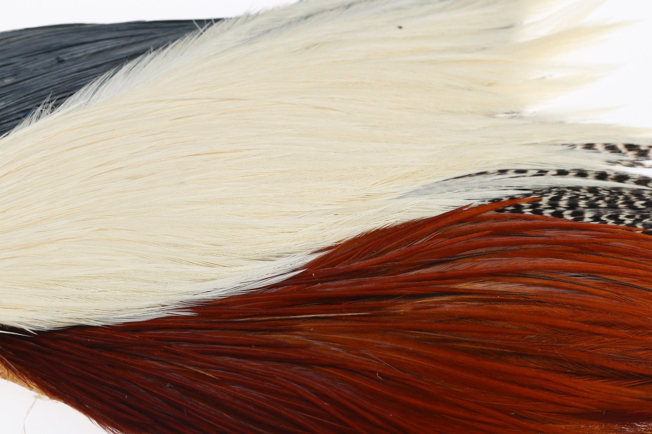 Hareline starter cape: long natural rooster feathers in cream, chestnut and black barred tones for fly tying