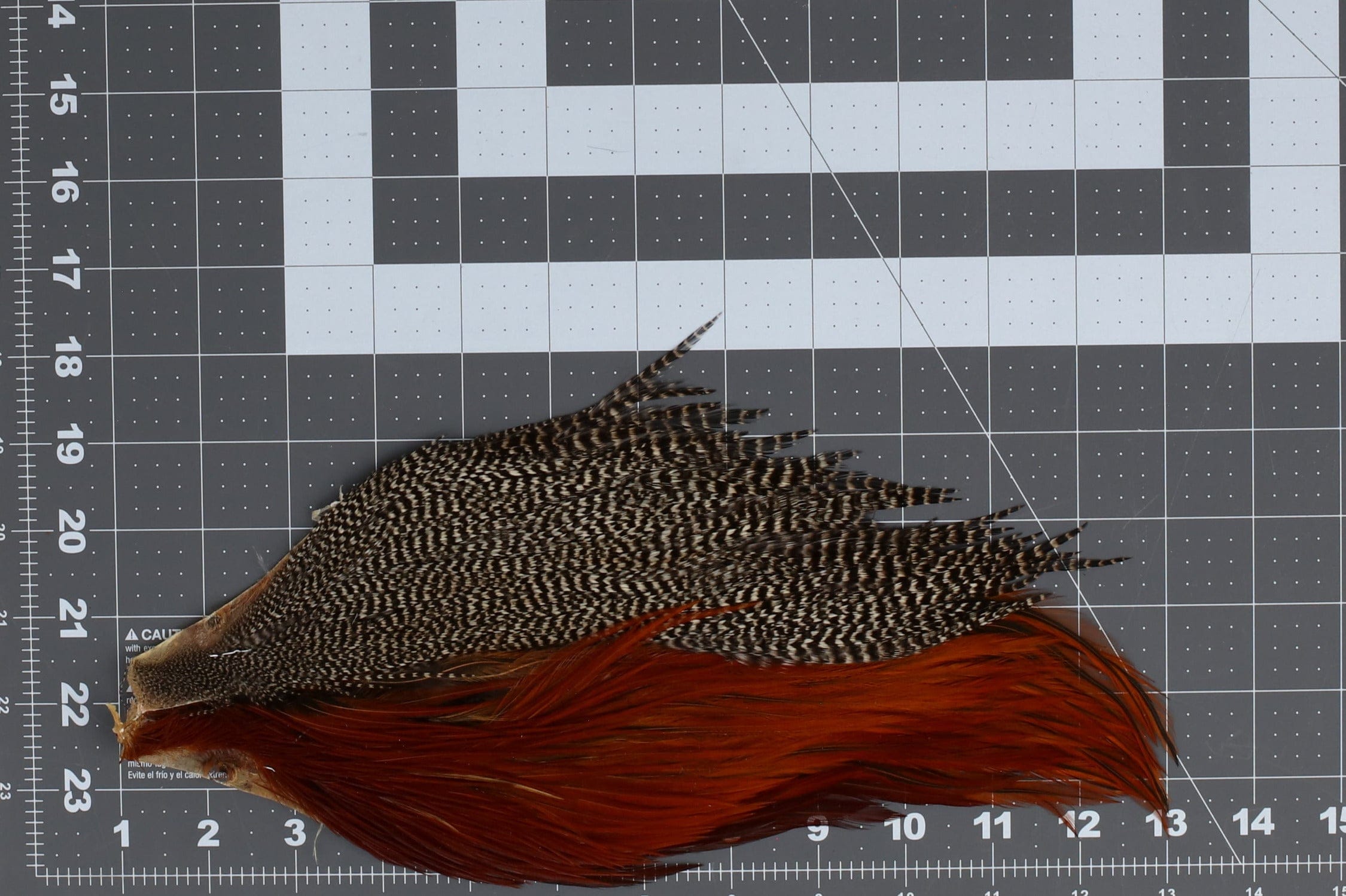 Grizzly black-and-white and chestnut long rooster feathers on grid mat, Hareline starter cape for fly tying