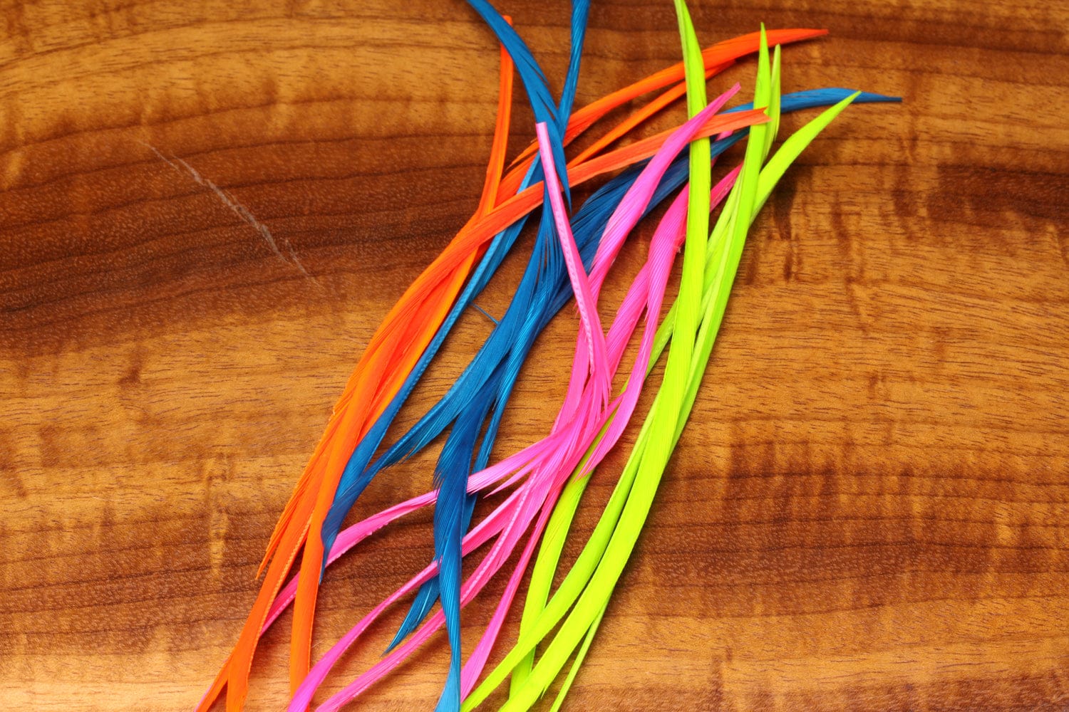 Stripped goose biots in neon orange, blue, pink and chartreuse laid on wood — thin feather strips for fly tying