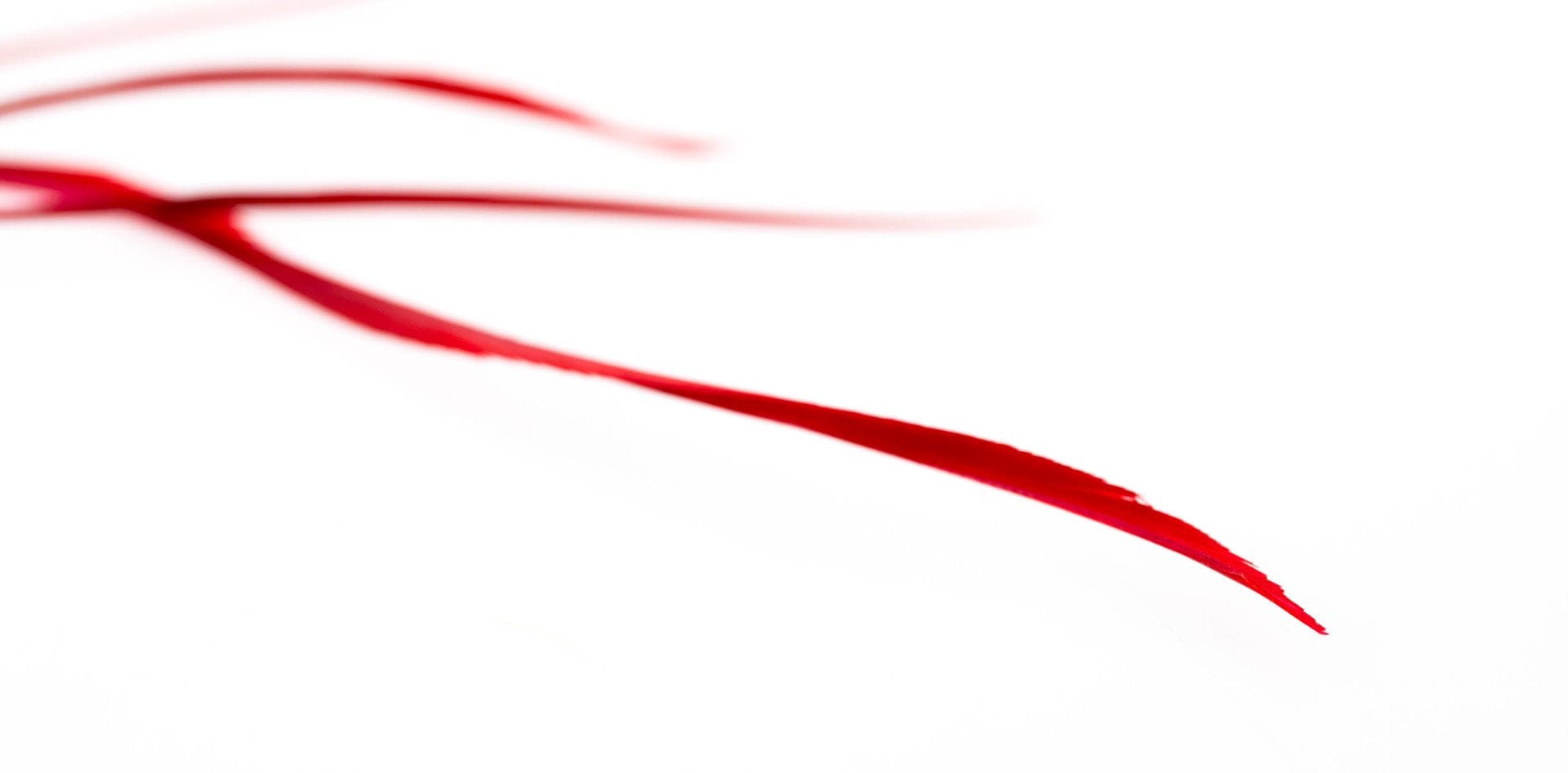 Hareline stripped goose biots: long narrow red feather quills with glossy sheen, ideal for fly tying accents