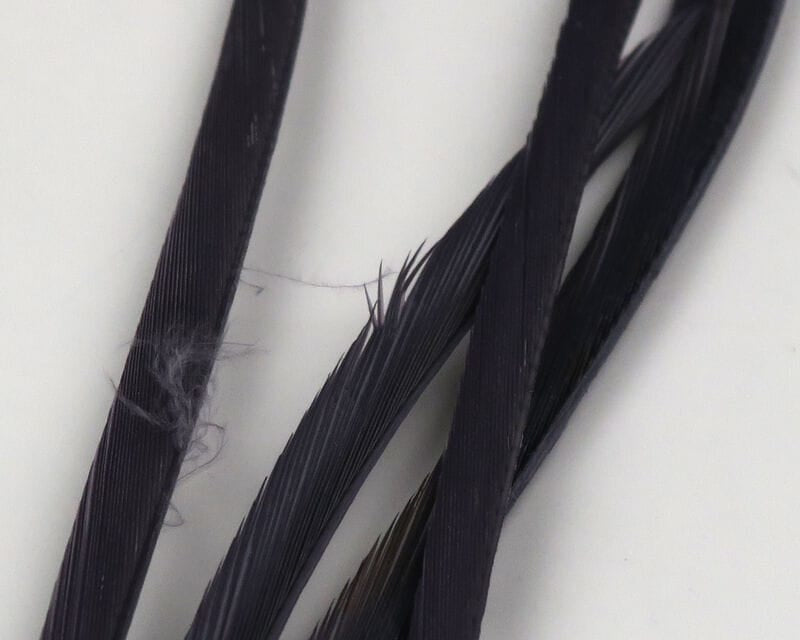 Dark purple-black stripped goose biots, narrow glossy feather quills for fly tying, close-up showing texture and fine barbs