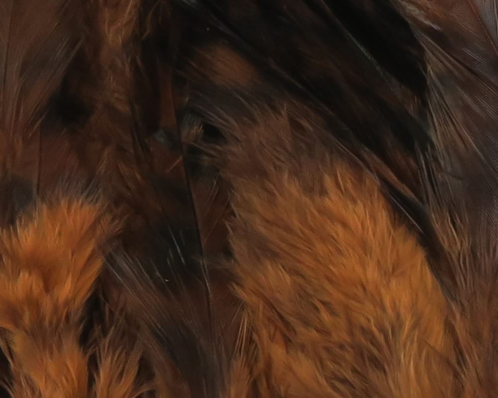Hareline strung grizzly variant saddle hackle feathers in rich brown and burnt orange for fly tying