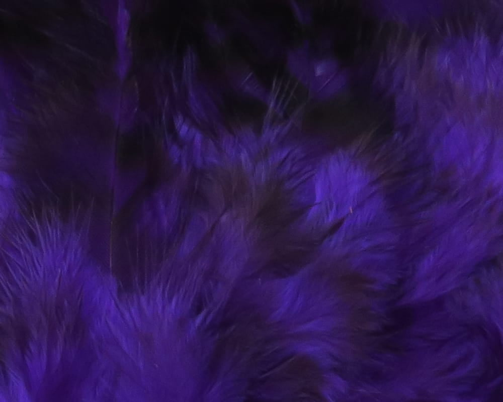 Hareline strung grizzly saddle hackle, purple-dyed feathers with long soft barbs for fly tying