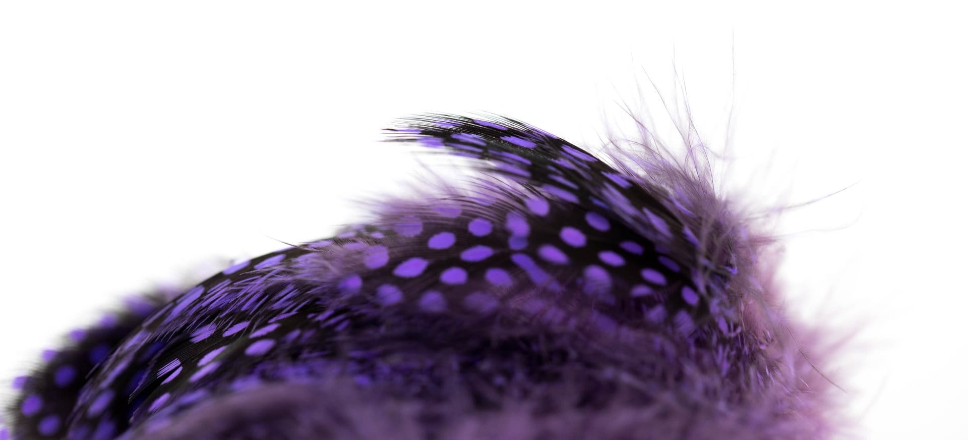 Hareline Strung Guinea Feathers