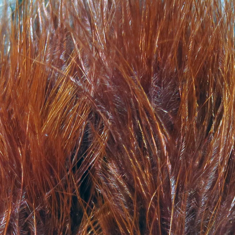 Deep blood-red Hareline marabou blood quills feathers, soft glossy barbs, ideal for fly tying