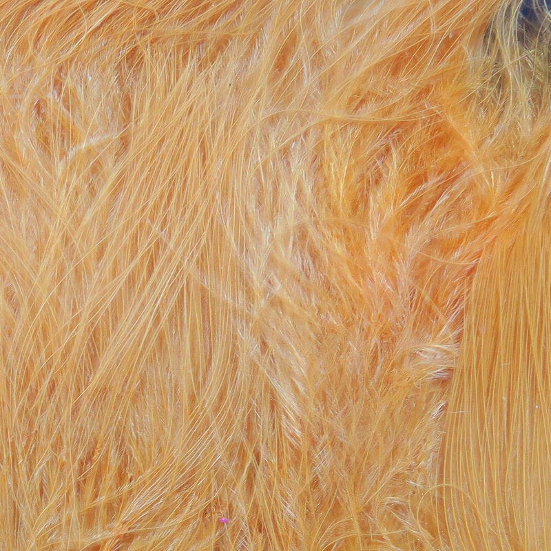Hareline Strung Marabou blood quills, soft orange marabou feathers with long fluffy quills for fly tying