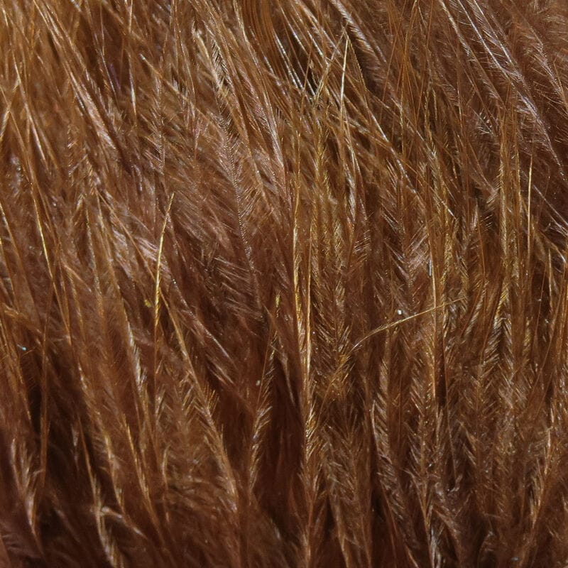 Blood brown Hareline marabou feathers with silky strung quills and subtle gold flash for fly tying