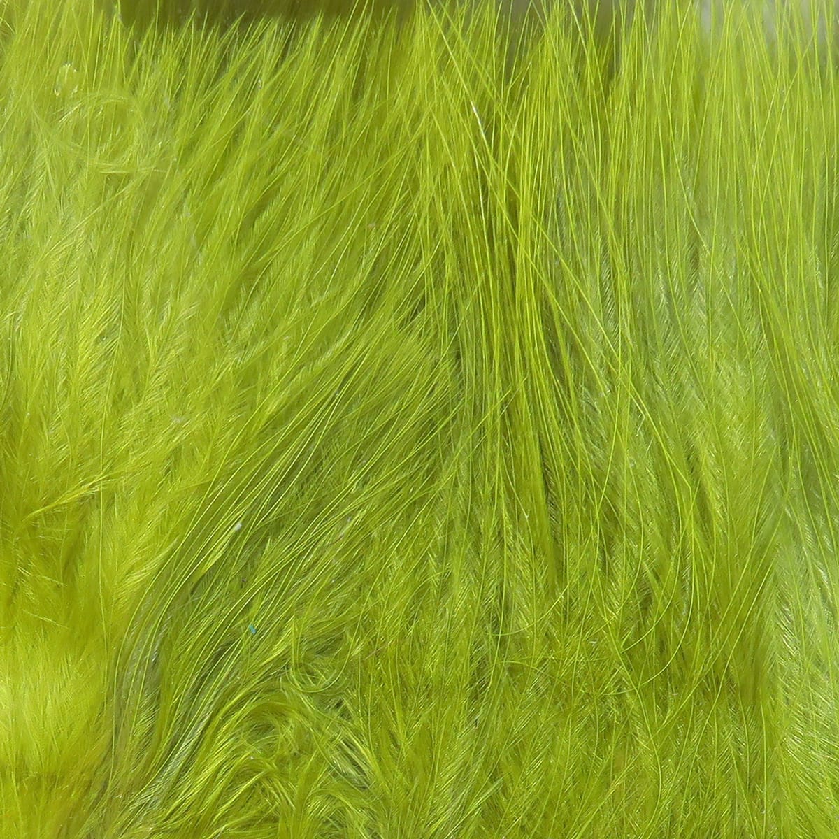 Chartreuse marabou blood quills with long silky fibers, strung for fly tying and lure dressing