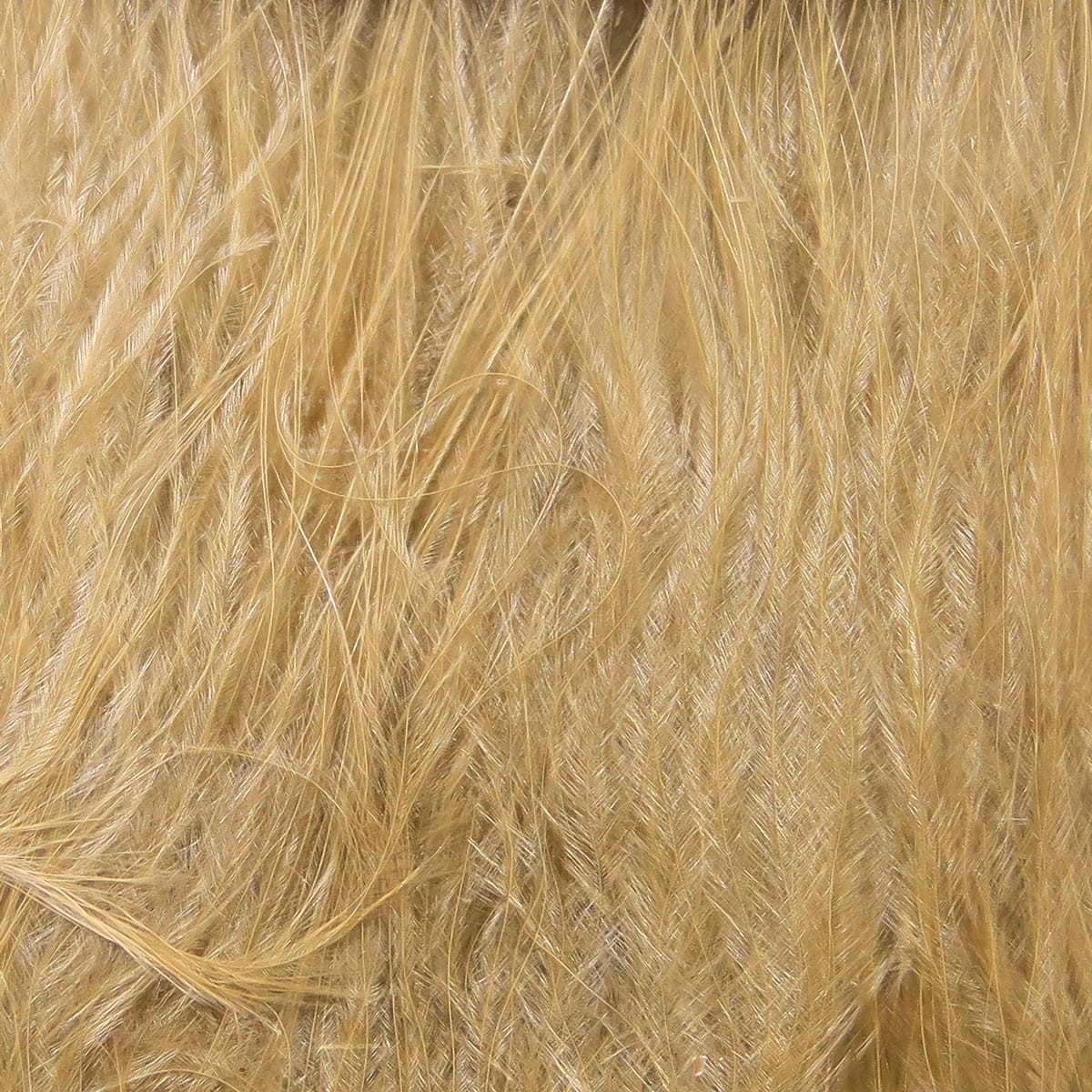 Golden tan marabou feathers with fine strung quills, soft fluffy texture for fly tying