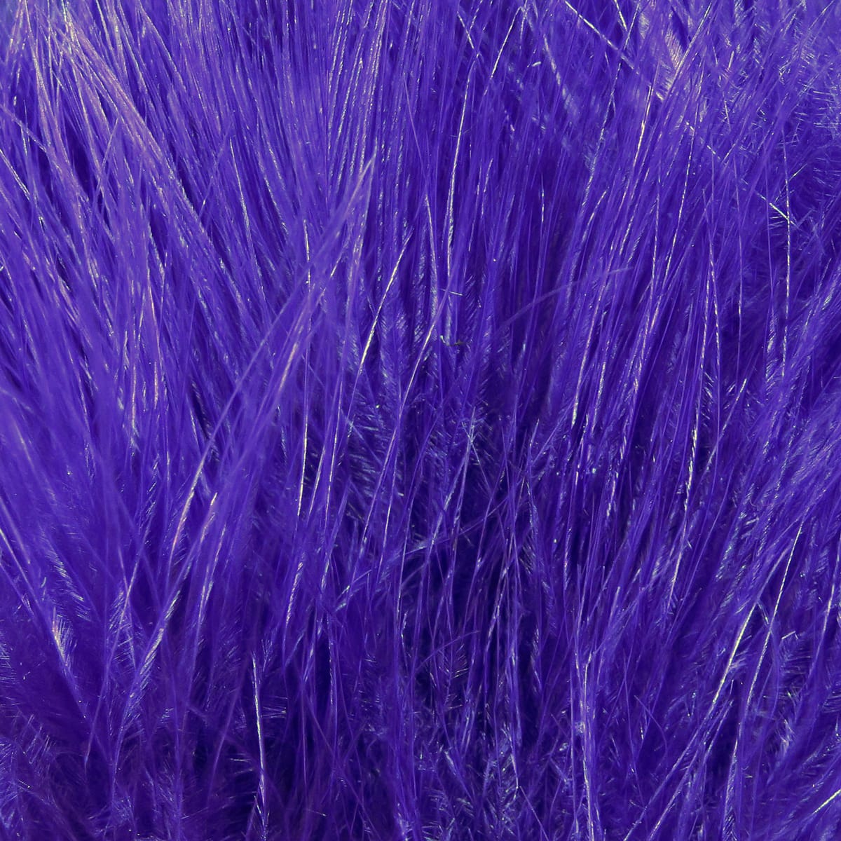 Vibrant purple marabou feather quills, fluffy strung blood quills with glossy barbs for fly tying.