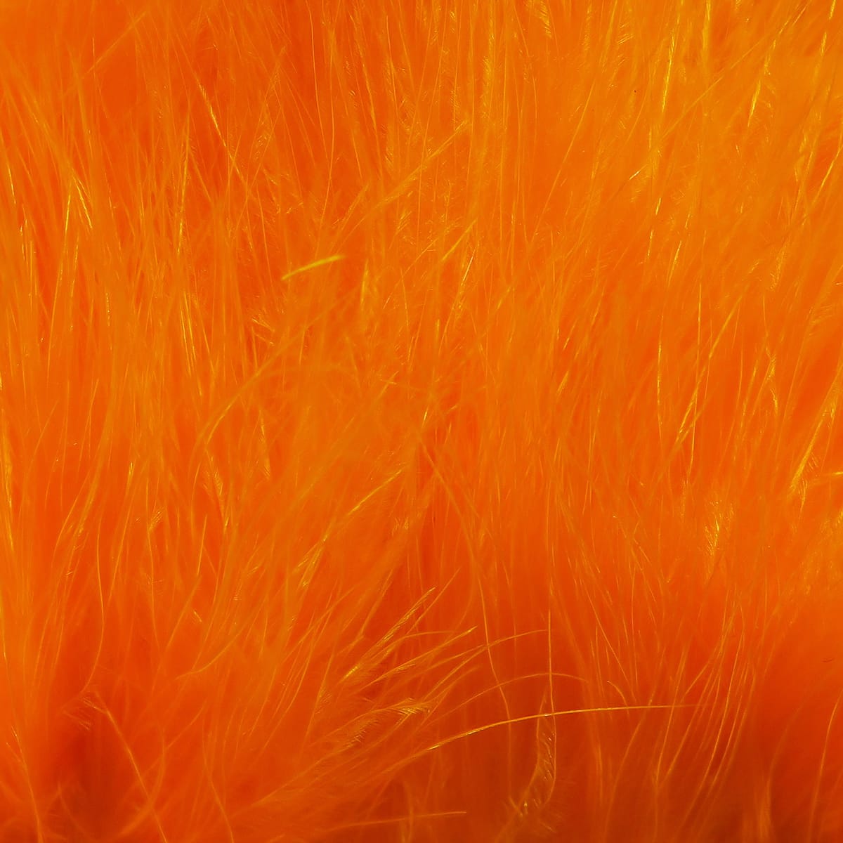 Bright orange strung marabou blood quills, soft fluffy feather fibers for fly tying