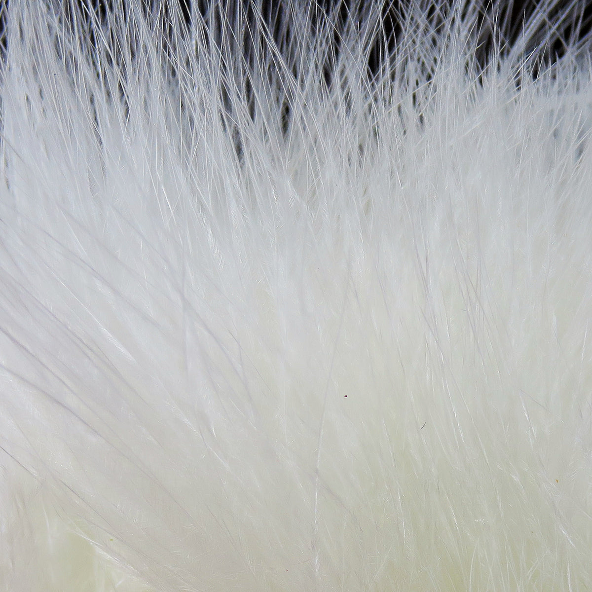 White Hareline marabou blood quills, soft fluffy feather strands ideal for fly tying