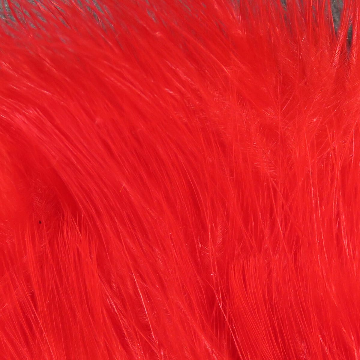 Vibrant blood-red Hareline marabou feathers, soft fluffy filaments ideal for fly tying and streamer bodies