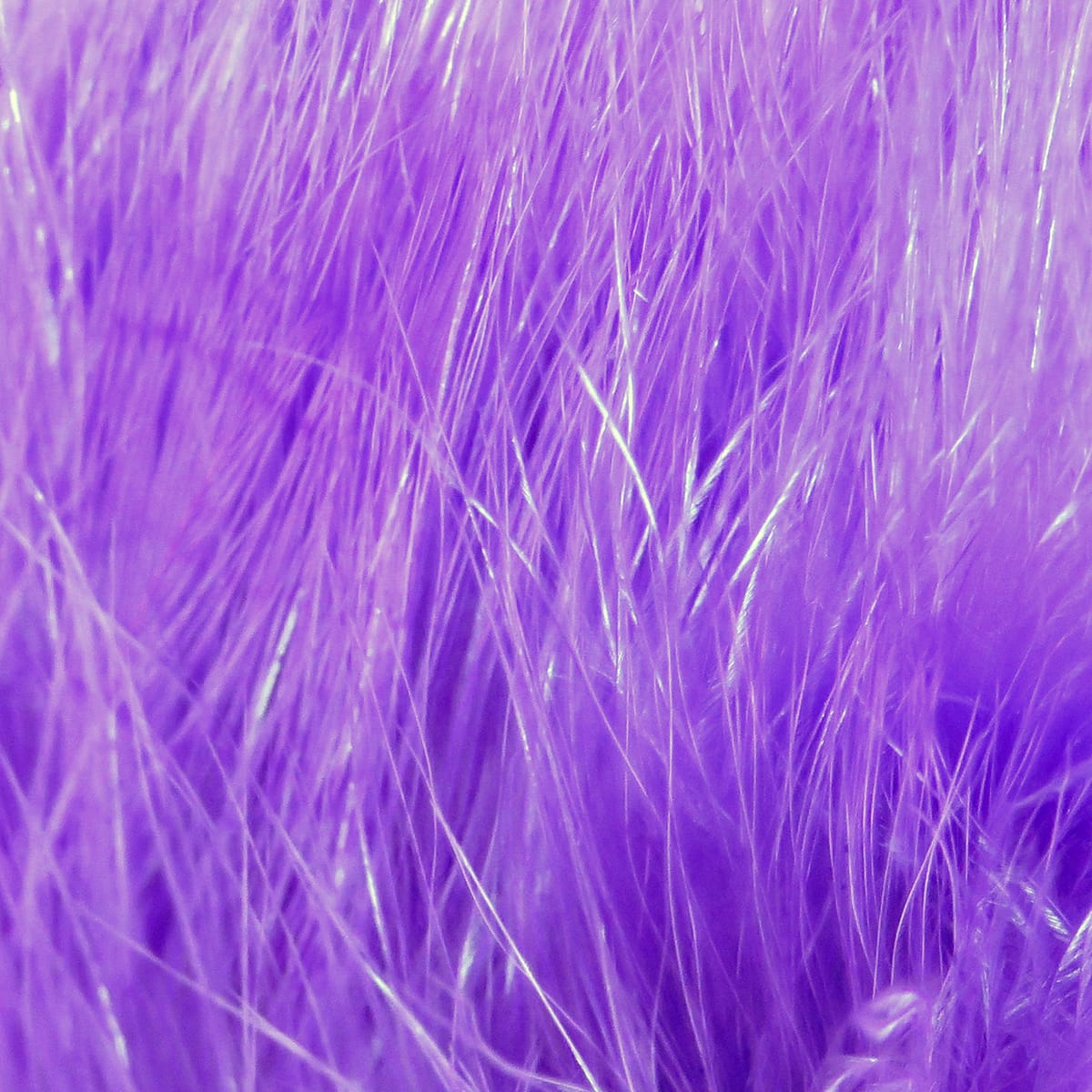 Vibrant purple marabou feathers with soft fluffy barbs and thin shimmering quill fibers, ideal for fly tying