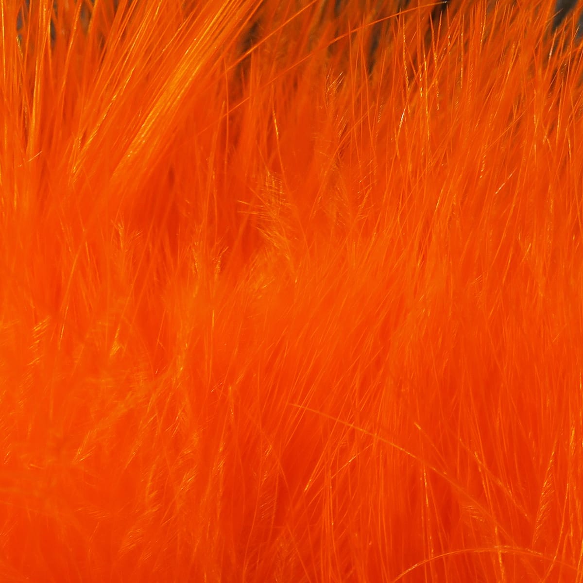 Hareline strung marabou blood quills in bright orange, soft glossy feathers ideal for fly tying