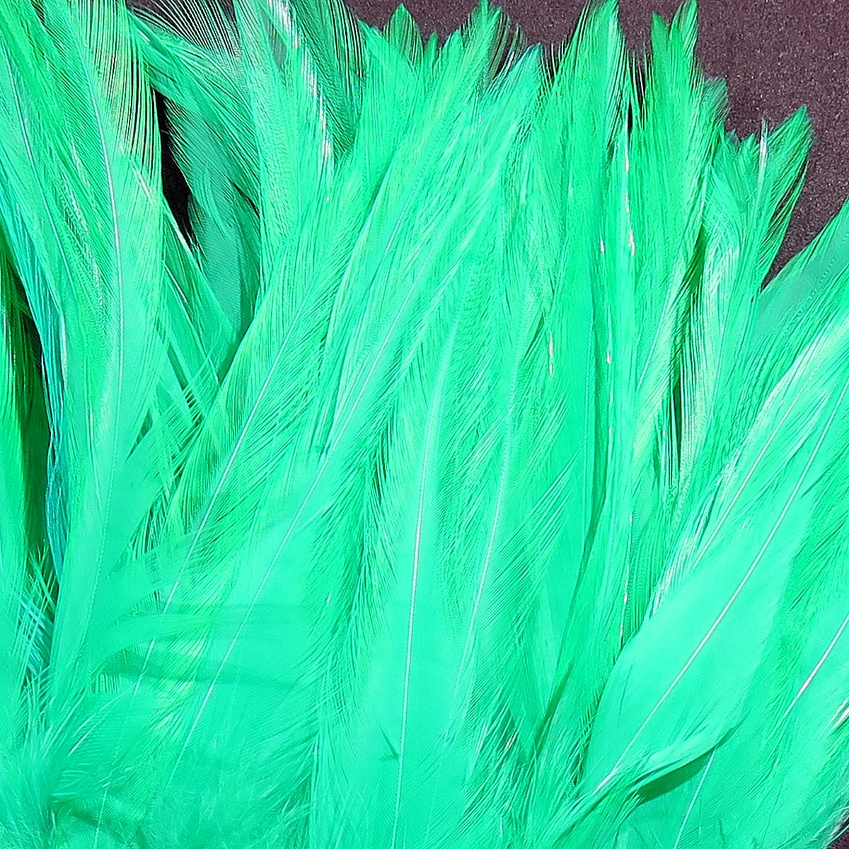 Bright emerald-green strung saddle hackle feathers with long narrow barbs, dyed feather material for fly tying
