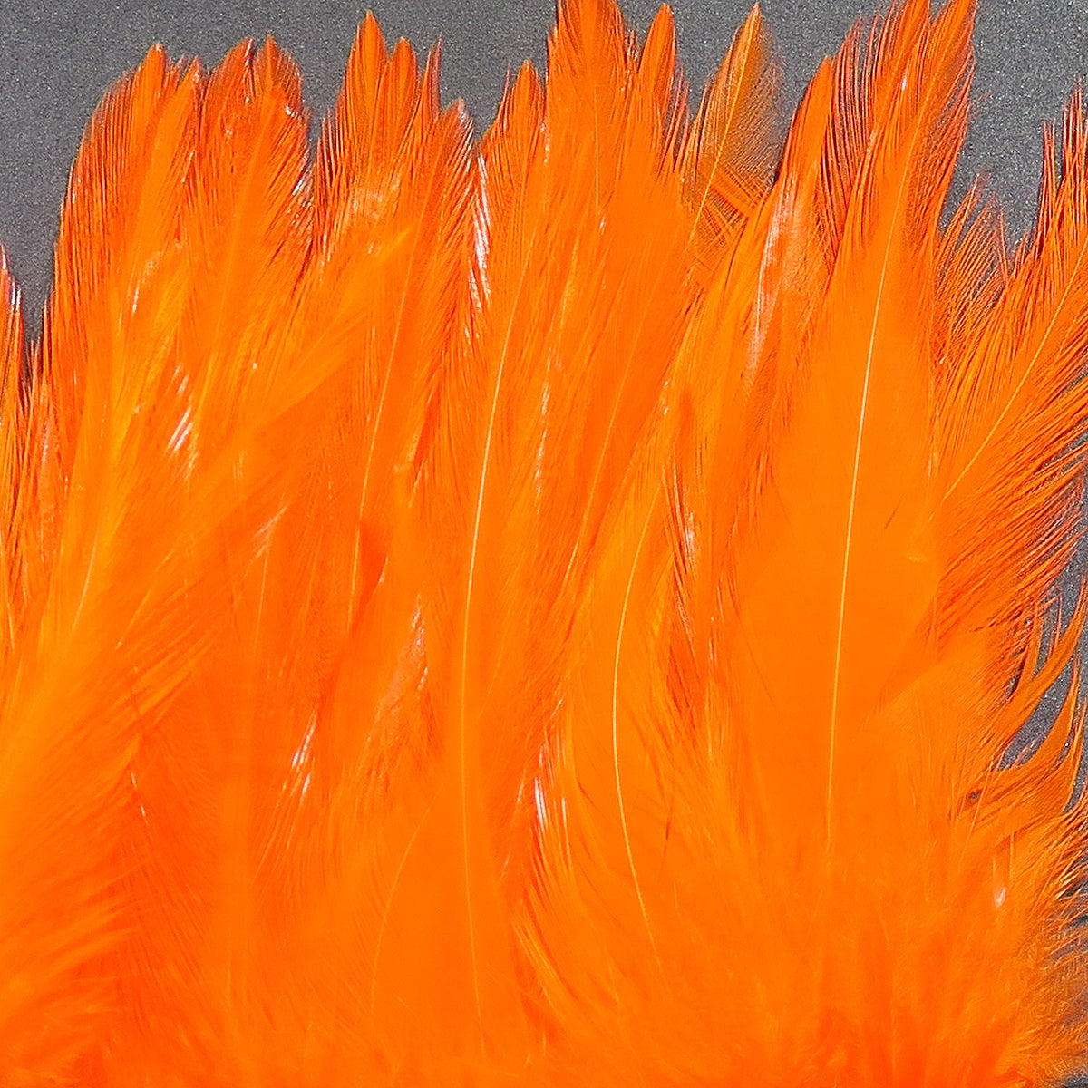 Bright orange Hareline strung saddle hackle, long glossy rooster feathers for fly tying