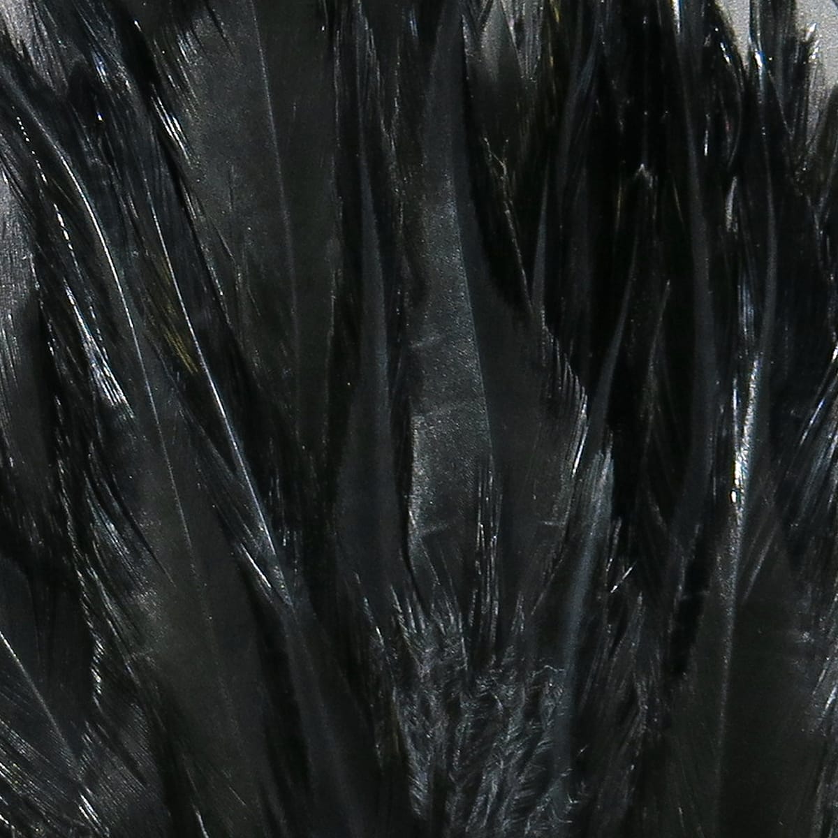 Hareline black strung saddle hackle: glossy long black rooster feathers with sleek barbs for fly tying