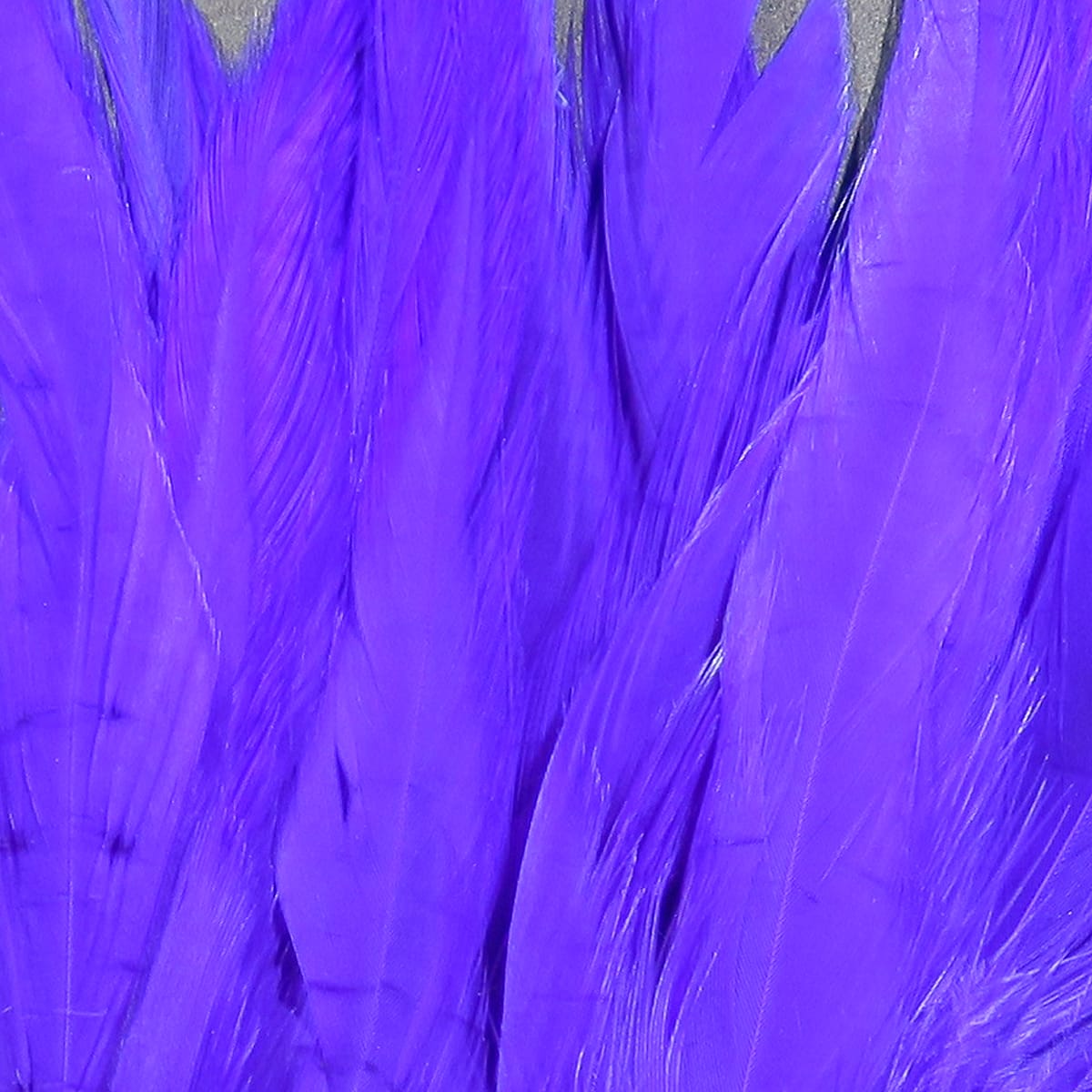 Bright purple strung saddle hackle feathers, long glossy dyed rooster feathers for fly tying