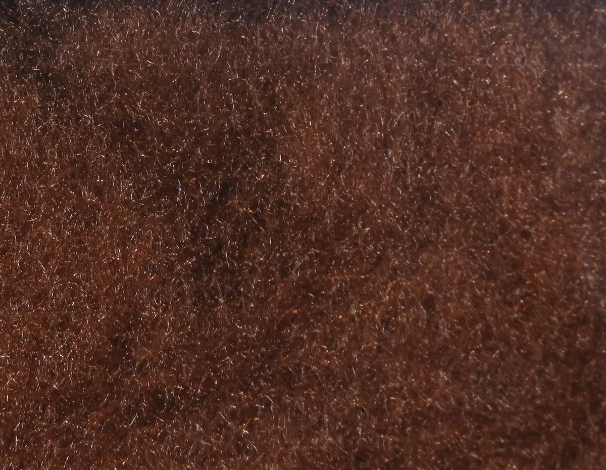 Hareline super fine dry fly dubbing close-up showing dense chocolate brown synthetic fibers with subtle copper sparkle