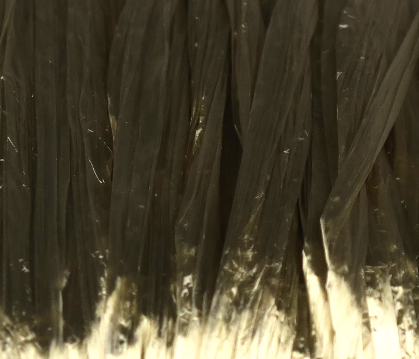 Hareline Swiss Straw close-up of olive-brown flat translucent straw fibers with pale tips for fly tying