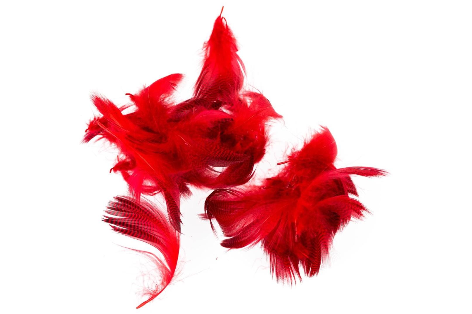 Hareline Teal Flank Feathers | Trident Fly Fishing