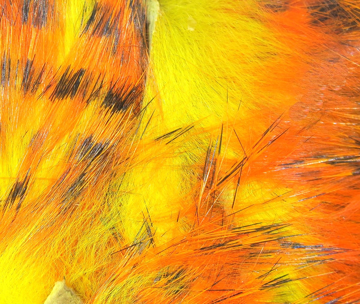 Hareline tiger barred rabbit fur strips bright yellow and orange with black bars, soft long fur for fly tying