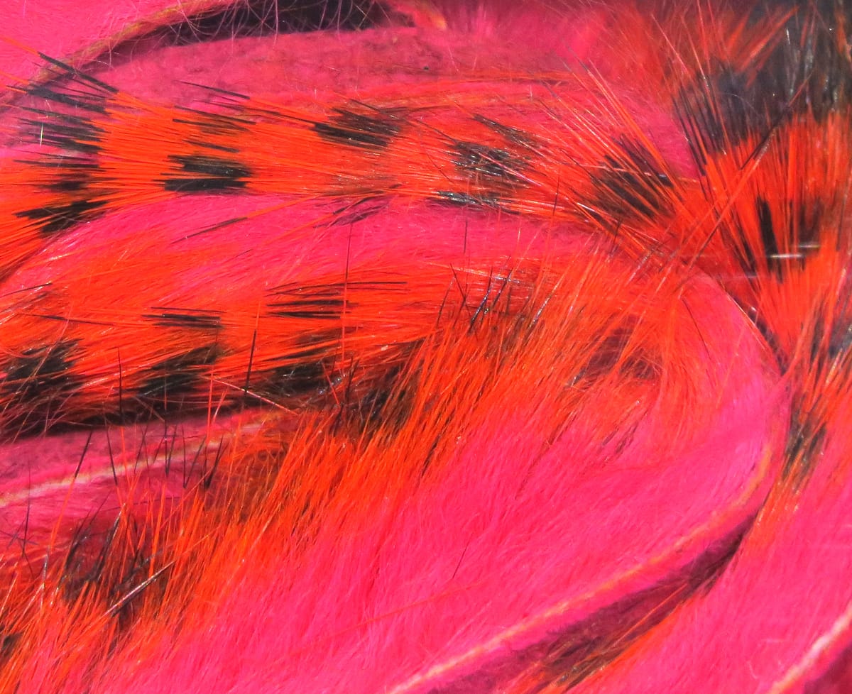 Hareline tiger barred rabbit fur strips in hot pink and orange with black bars for fly tying