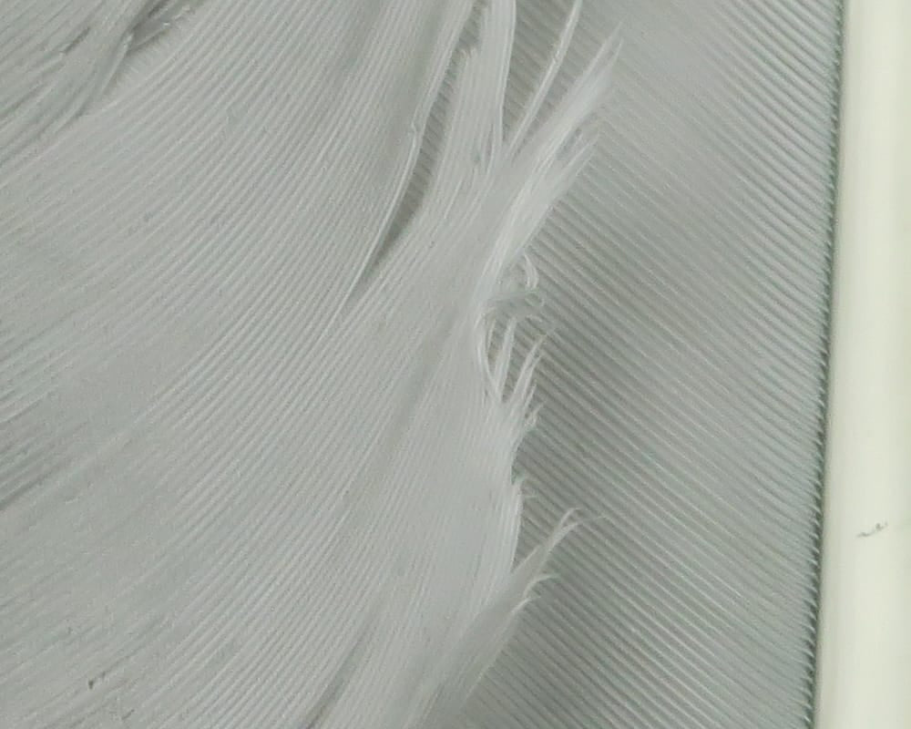 Hareline turkey biot quills, pale gray-white natural feather strips with fine ribbed texture for fly tying
