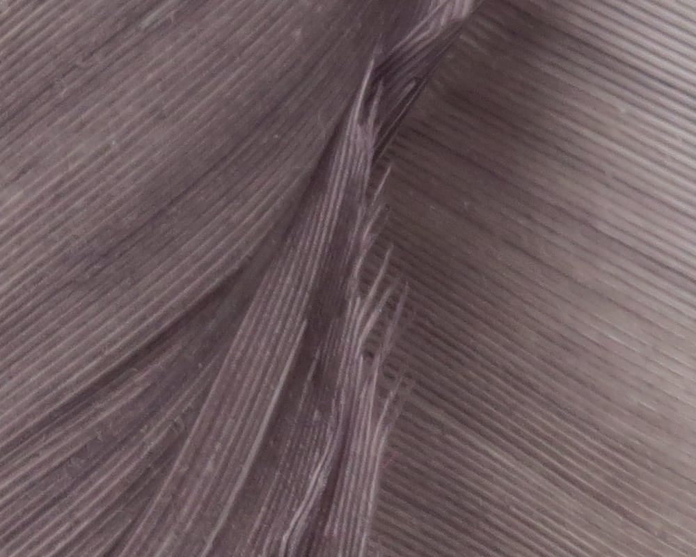 Close-up brown turkey biot feathers showing fine ribbed quills and glossy barbs, ideal for fly tying