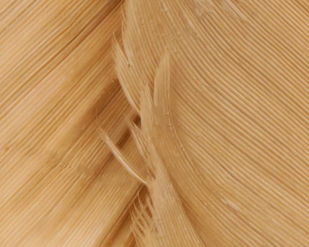 Hareline natural tan turkey biot feathers with ribbed narrow quills for fly tying