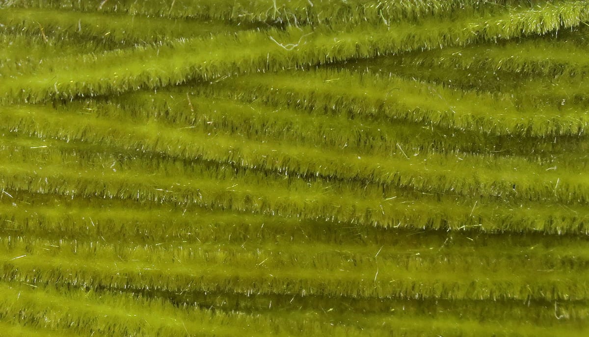 Close-up olive chartreuse Hareline Ultra Chenille with fuzzy, velvety fibers and subtle silver flash for fly tying