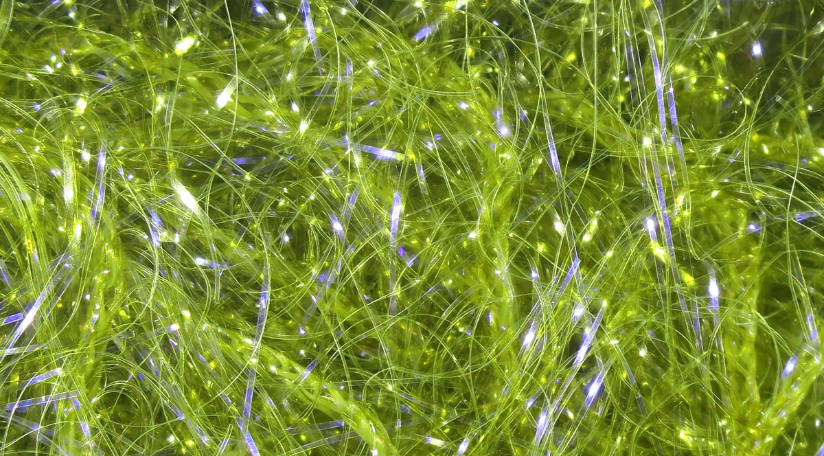 Chartreuse green Hareline UV Polar Chenille with iridescent synthetic fibers and sparkling fine strands for fly tying